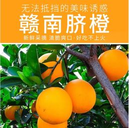 甜入心扉的贛南珍品——5斤江西贛州薄皮臍橙，品味正宗鮮甜的舌尖盛宴
